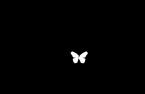 Butterfly initial movement